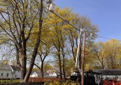 Crane Service2