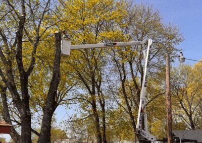 Crane Service4
