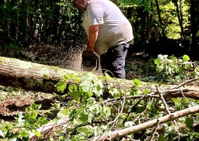 2025 4aDorothy peck jake cutting